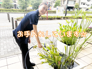 校舎前が夏になりました！
